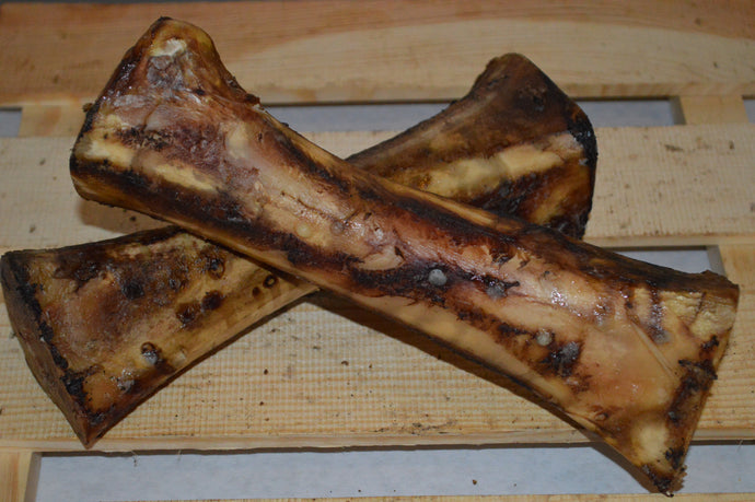 Large Junkyard Bones